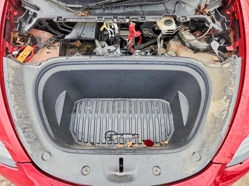 2024 TESLA MODEL  Y 11