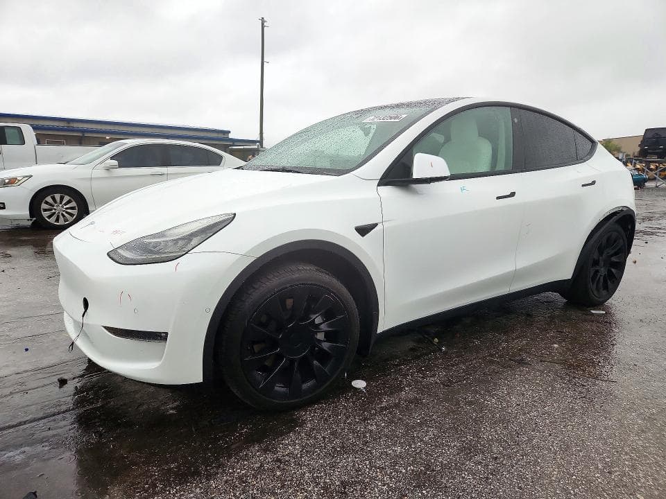 2021 TESLA MODEL Y - 1