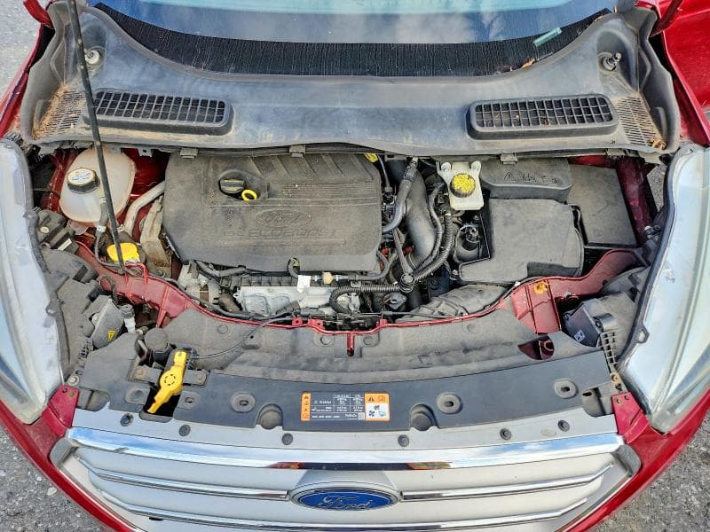 2019 FORD ESCAPE SEL 12