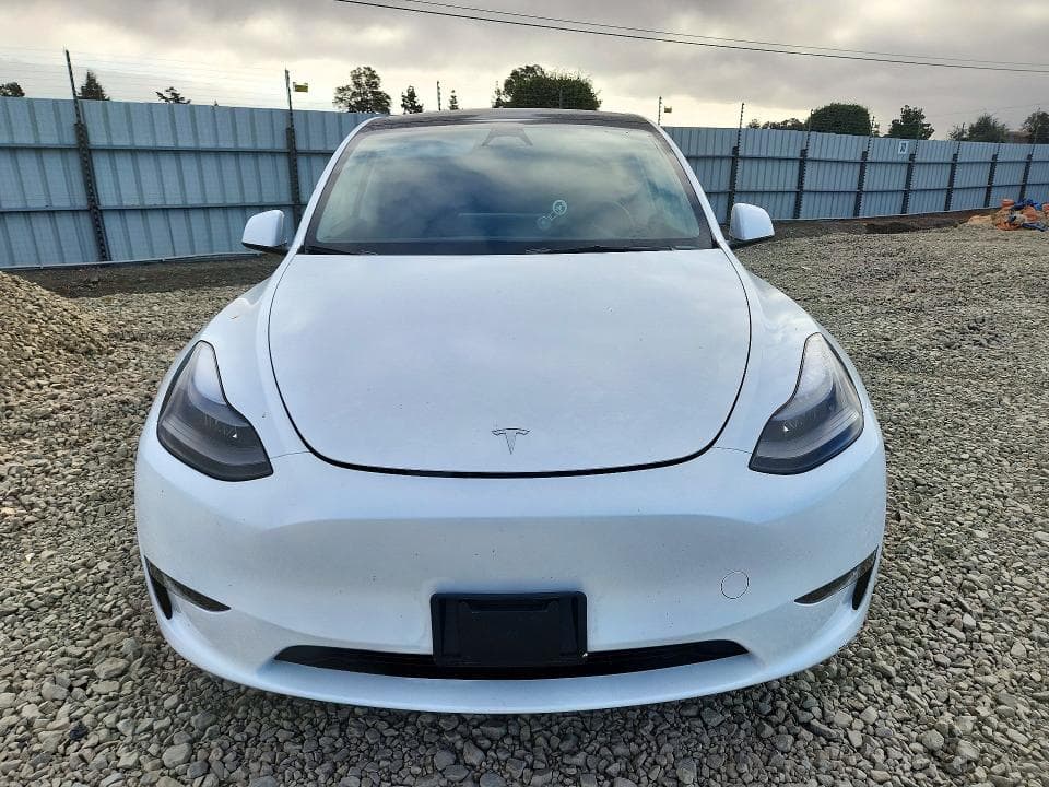 2024 TESLA MODEL Y 5