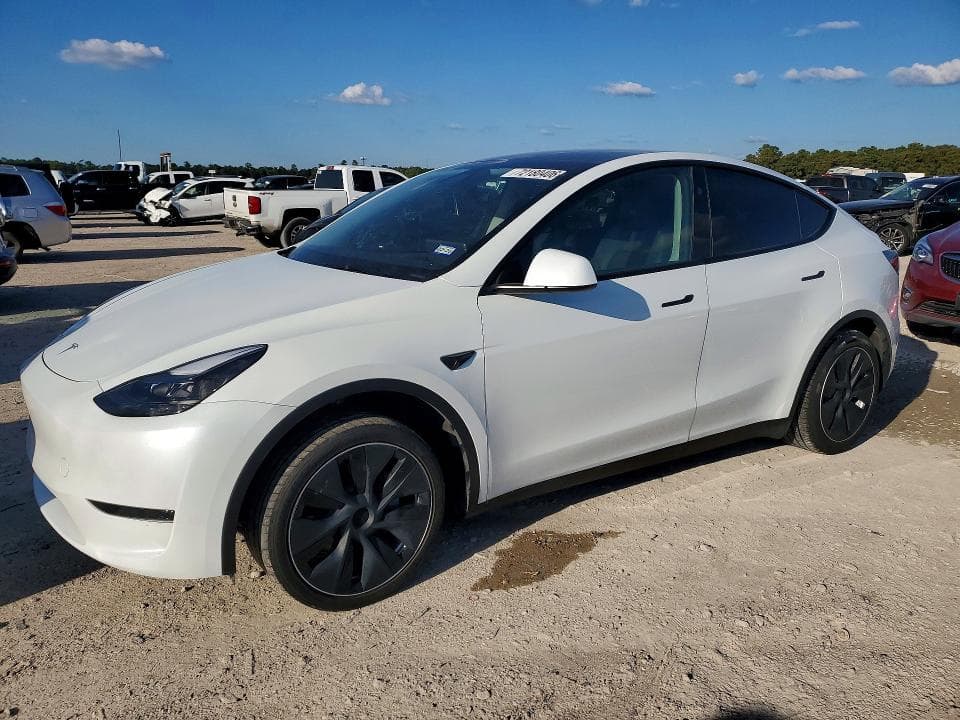 2025 TESLA MODEL Y - 1