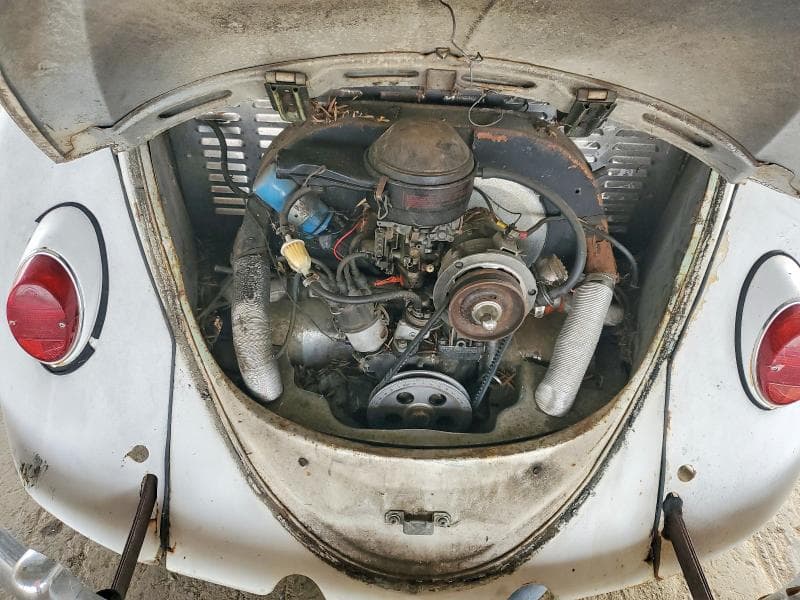 1966 VOLKSWAGEN BEETLE 11