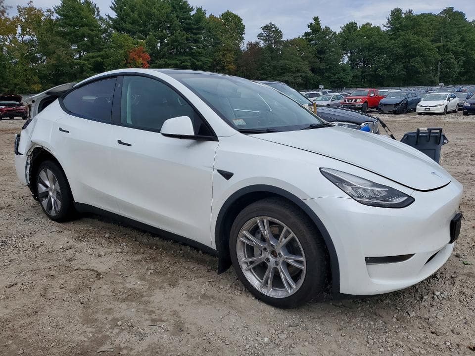 2023 TESLA MODEL Y 4