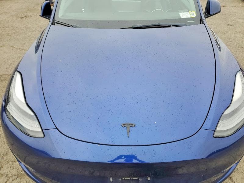 2023 TESLA MODEL Y 11