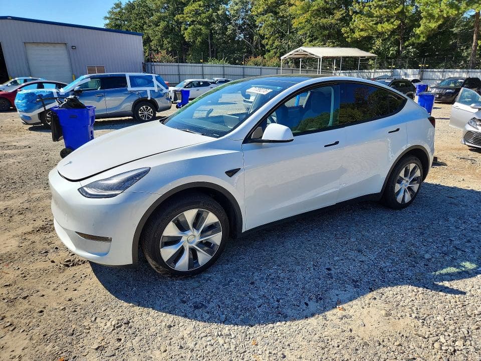 2021 TESLA MODEL Y - 1