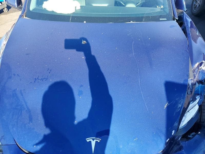 2021 TESLA MODEL Y 12