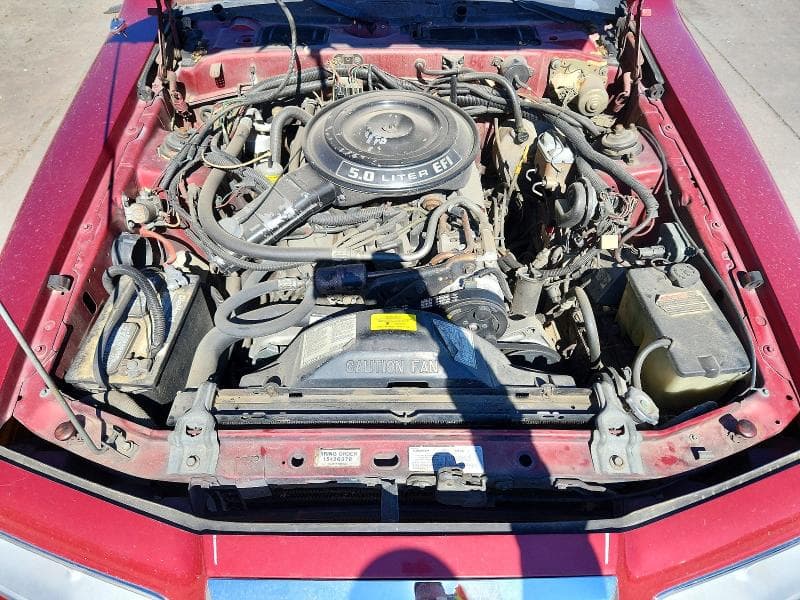 1983 FORD THUNDERBIRD 11