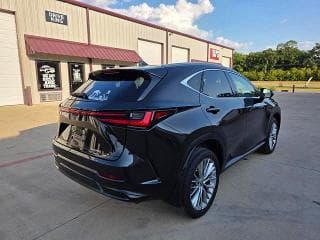 2023 LEXUS NX 350 4