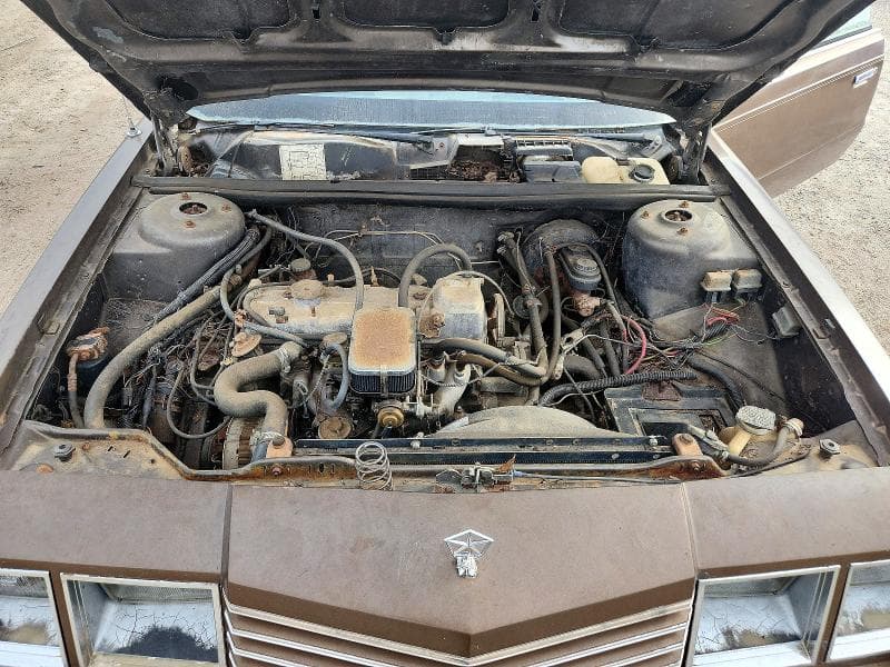 1984 DODGE 600 11