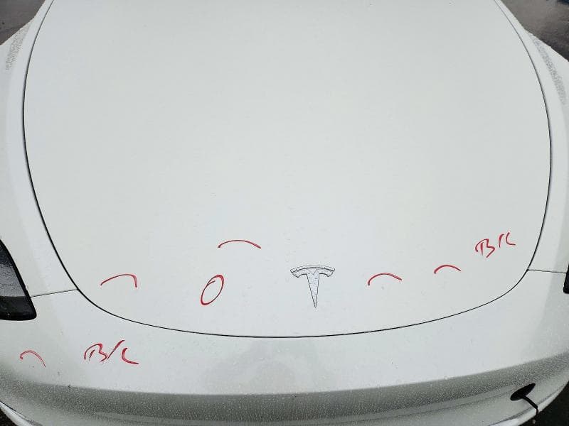 2021 TESLA MODEL Y 11