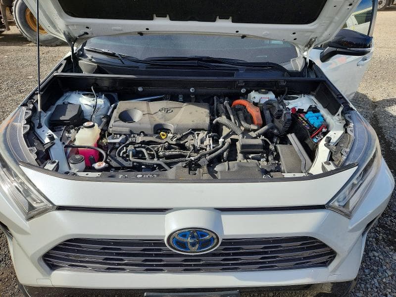 2019 TOYOTA RAV4 XSE 12
