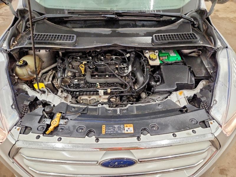 2019 FORD ESCAPE SE 12