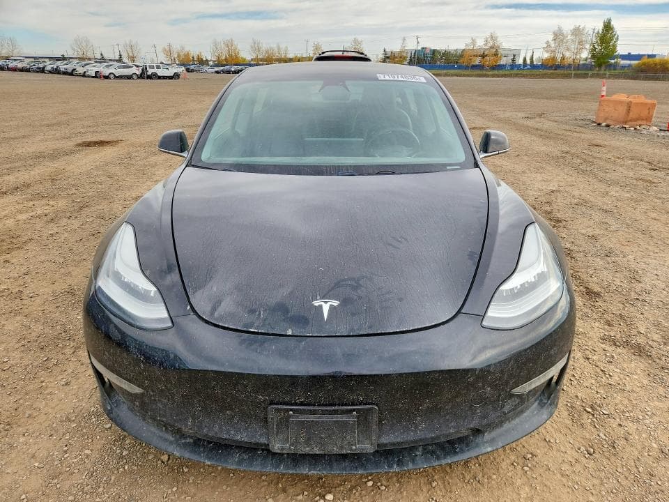 2019 TESLA MODEL 3 5