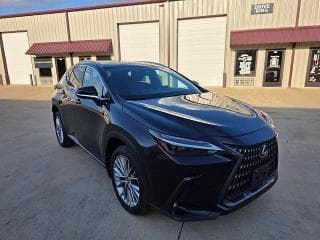 2023 LEXUS NX 350 - 1