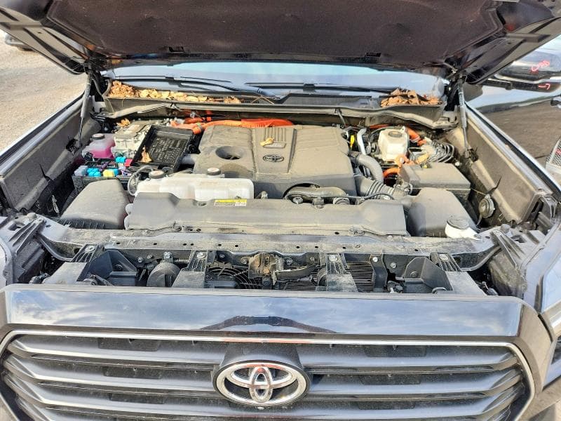 2025 TOYOTA SEQUOIA SR5 12