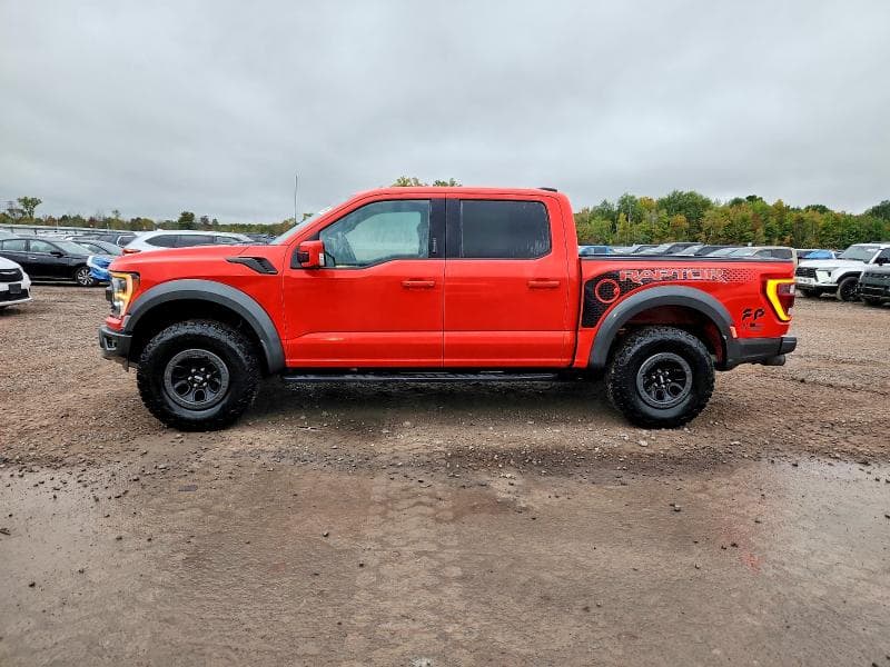 2022 FORD F150 RAPTOR 12