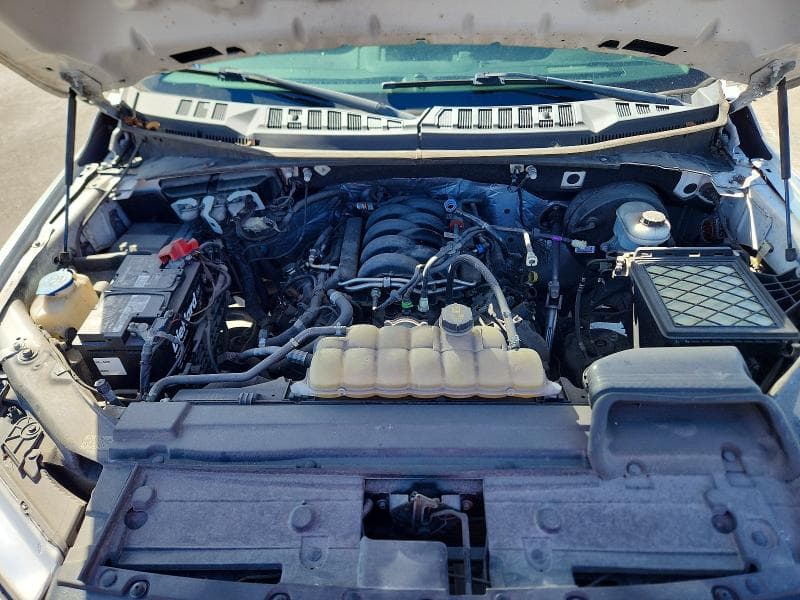 2019 FORD F150 11