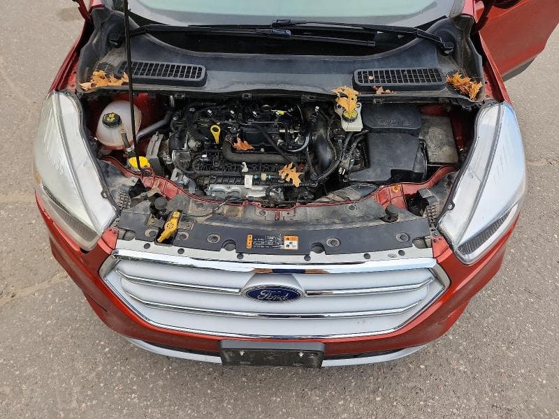 2019 FORD ESCAPE SE 12