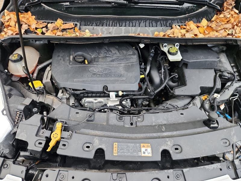 2018 FORD ESCAPE SE 12
