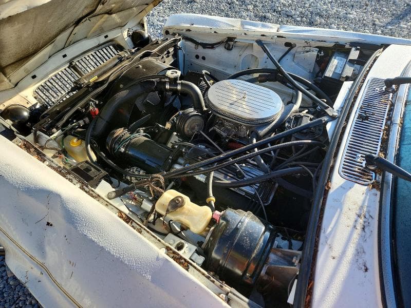 1983 JAGUAR XJ6 11