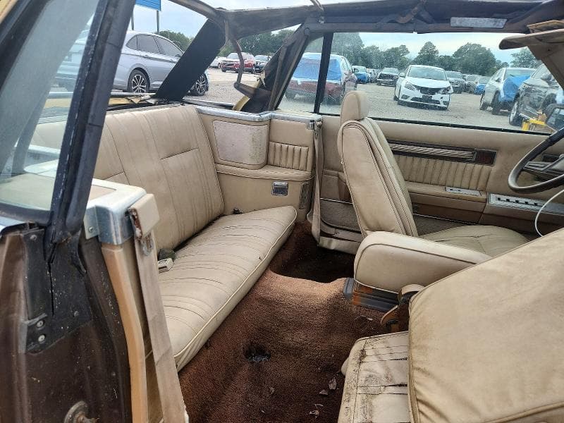 1984 DODGE 600 10