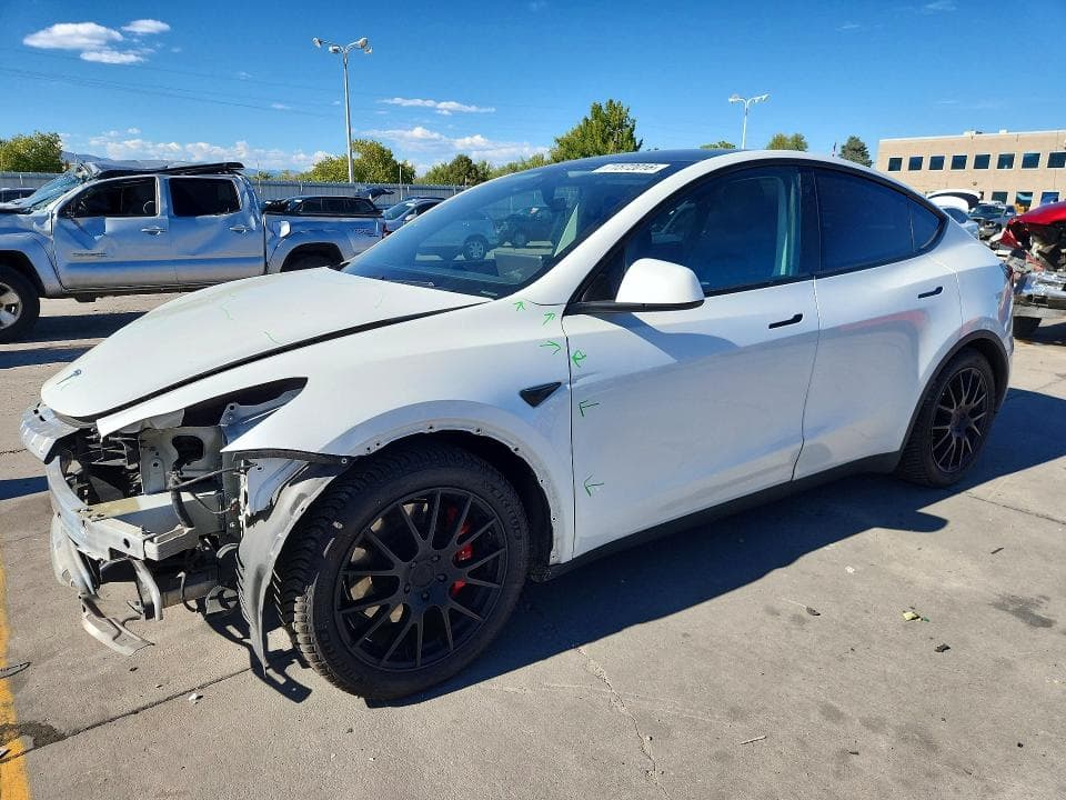 2020 TESLA MODEL Y