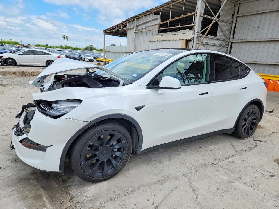 2021 TESLA MODEL Y - 1