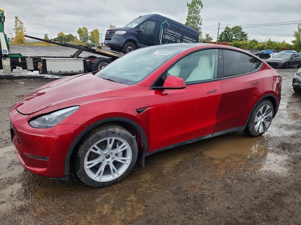2024 TESLA MODEL Y - 1