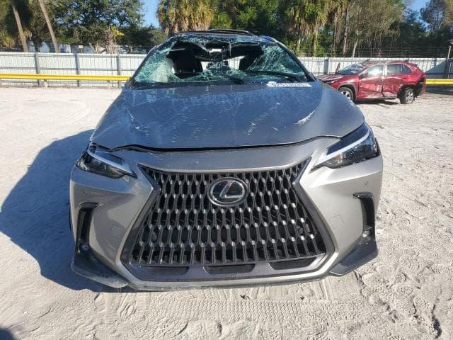 2023 LEXUS NX 350 5