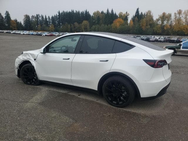2024 TESLA MODEL Y 2