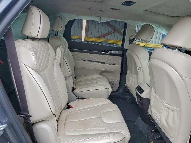 2020 HYUNDAI PALISADE LIMITED 10