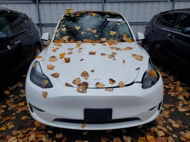 2024 TESLA MODEL Y 5