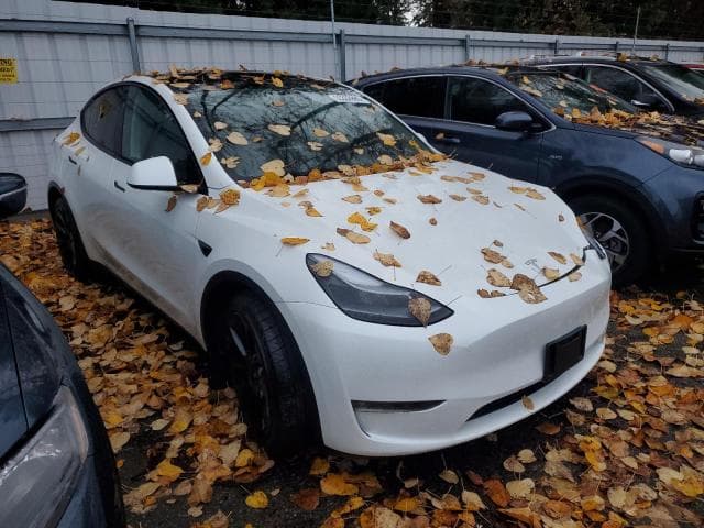 2024 TESLA MODEL Y 4