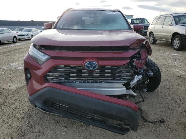 2024 TOYOTA RAV4 LIMITED 5