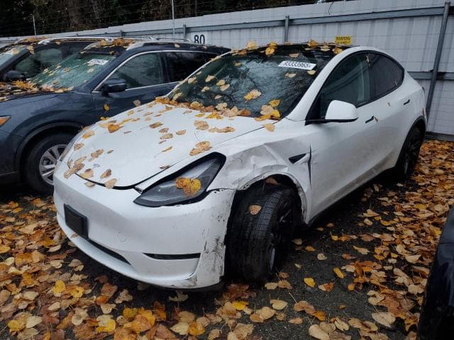 2024 TESLA MODEL Y - 1