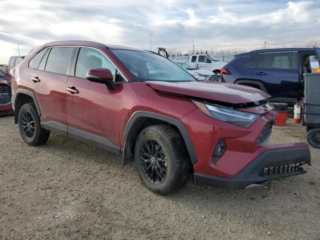 2024 TOYOTA RAV4 LIMITED 4