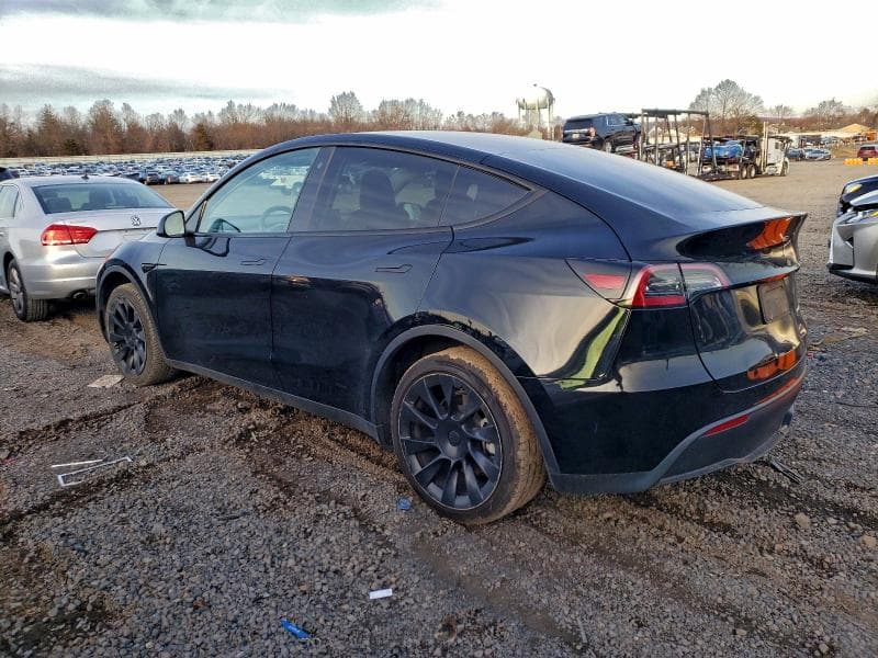 2023 TESLA MODEL Y 2