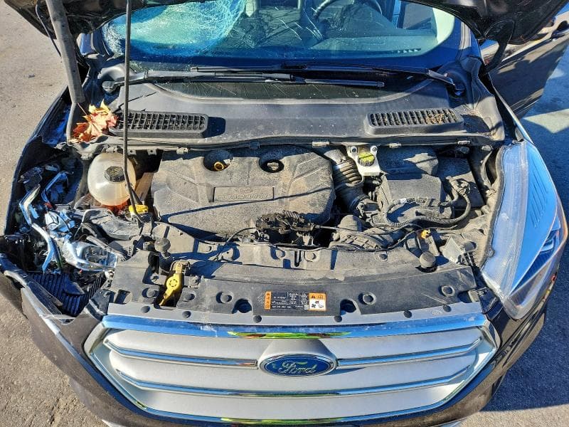 2019 FORD ESCAPE TITANIUM 11