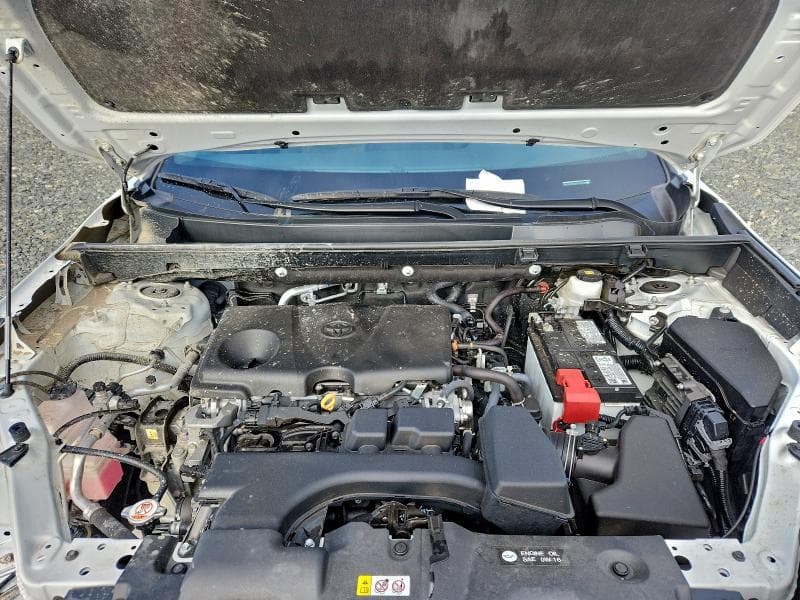 2024 TOYOTA RAV4 XLE 12