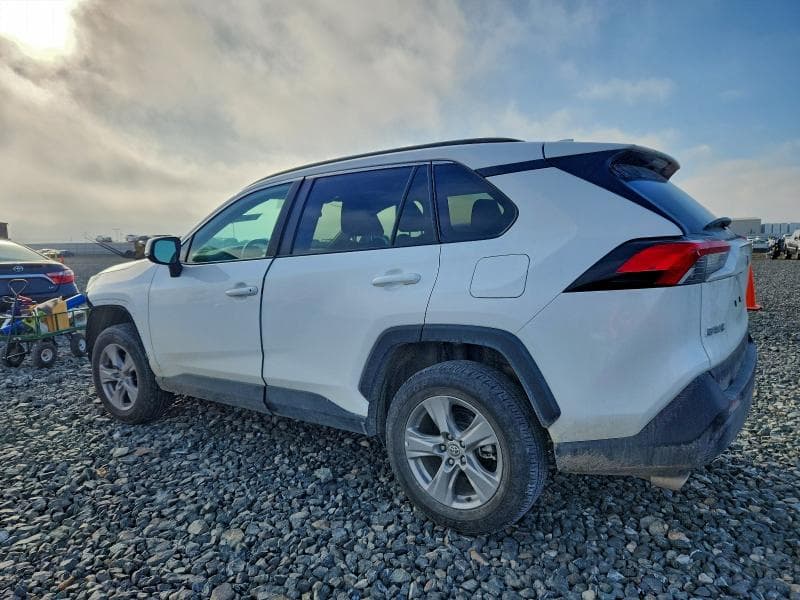 2024 TOYOTA RAV4 XLE 2