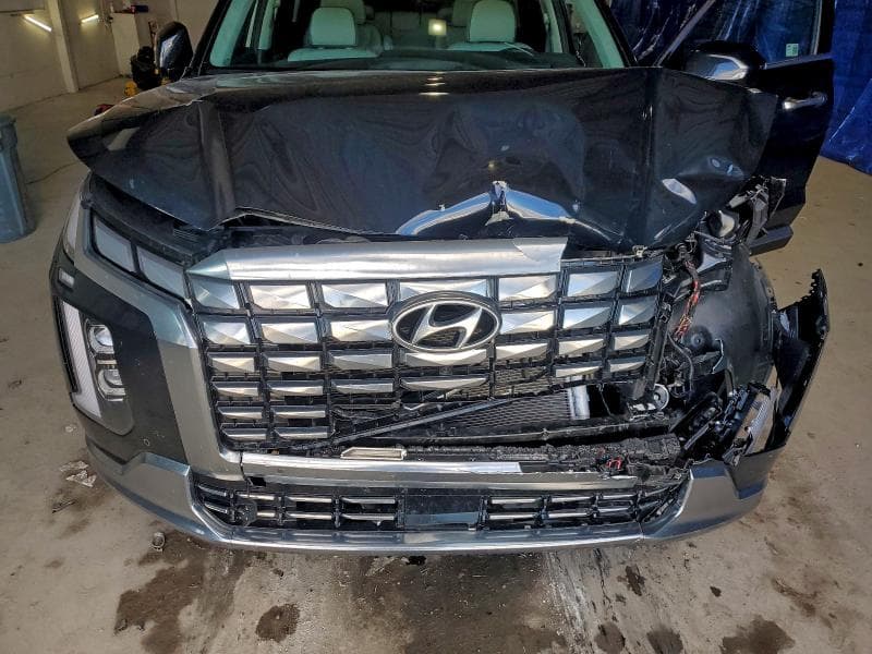 2024 HYUNDAI PALISADE CALLIGRAPHY 12