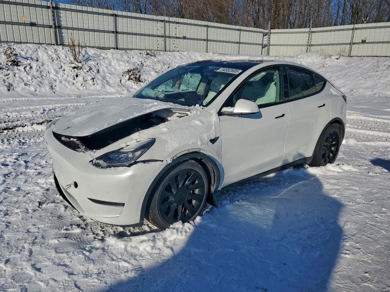 2021 TESLA MODEL Y - 1