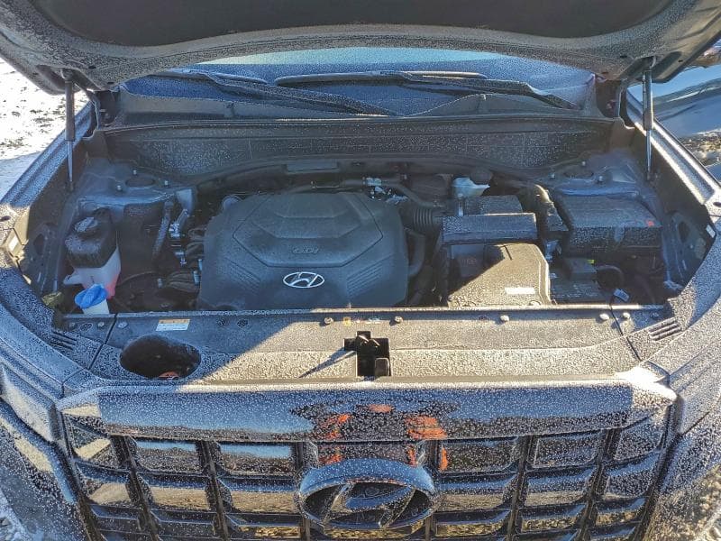 2024 HYUNDAI PALISADE LIMITED 12