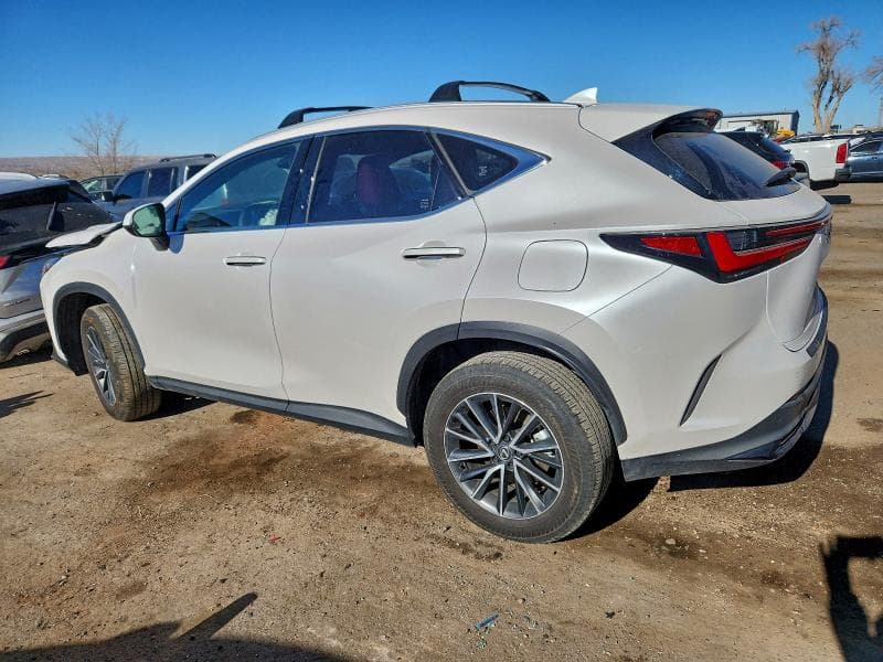2025 LEXUS NX 350 2