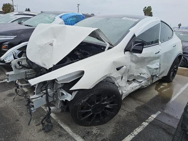 2020 TESLA MODEL Y - 1