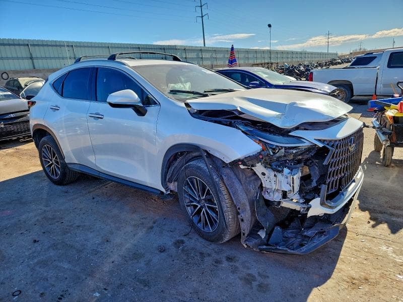 2025 LEXUS NX 350 4