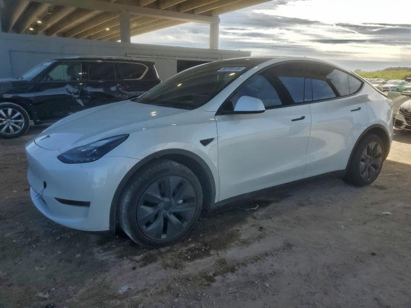 2025 TESLA MODEL Y - 1