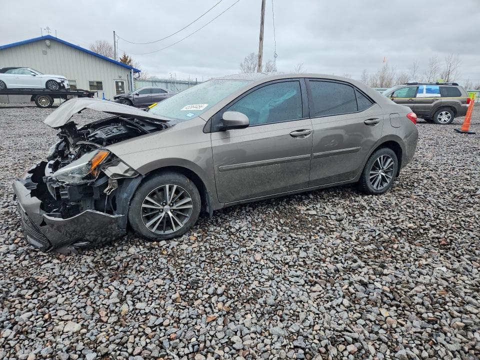2019 TOYOTA COROLLA LE