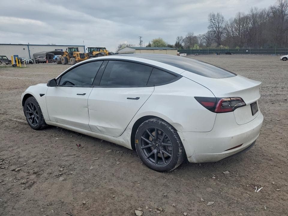 2019 TESLA MODEL 3 2