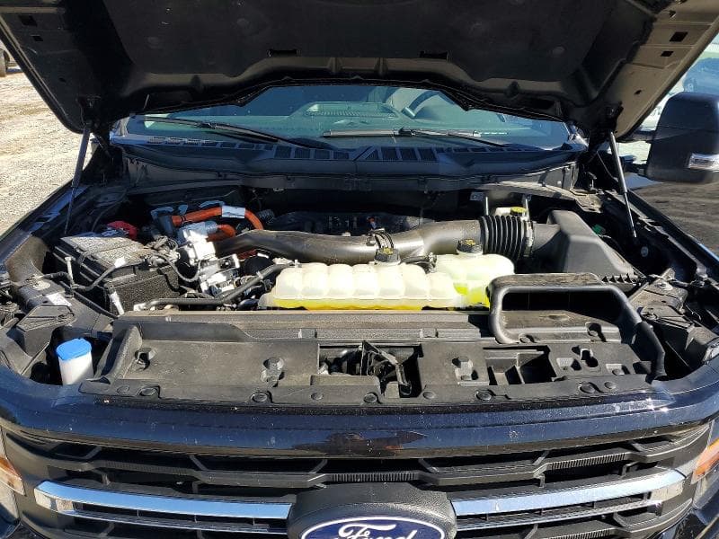 2025 FORD F150 XLT 11